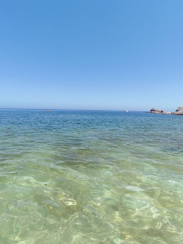 养马岛林间花海旅行图片 3