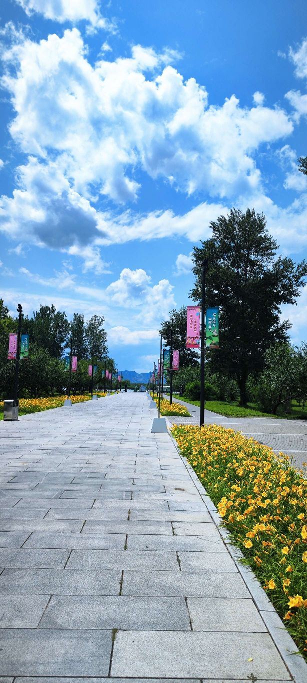 野鸭湖国家湿地公园旅行图片 7