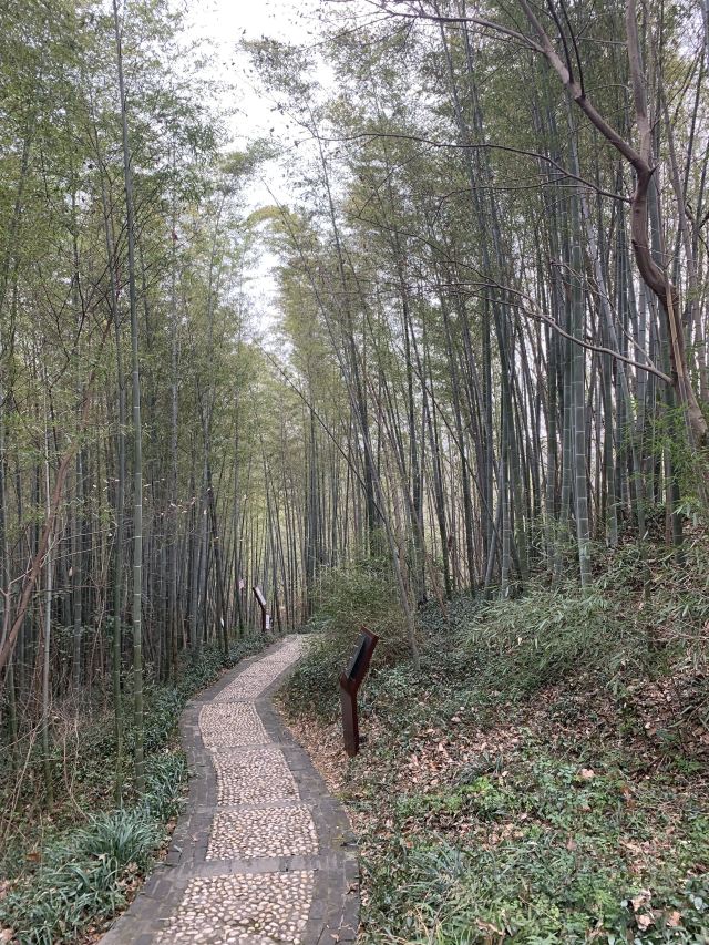 南山风景区旅行图片 2