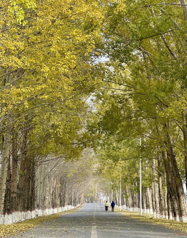 木扎尔特口岸雕塑旅行图片 9