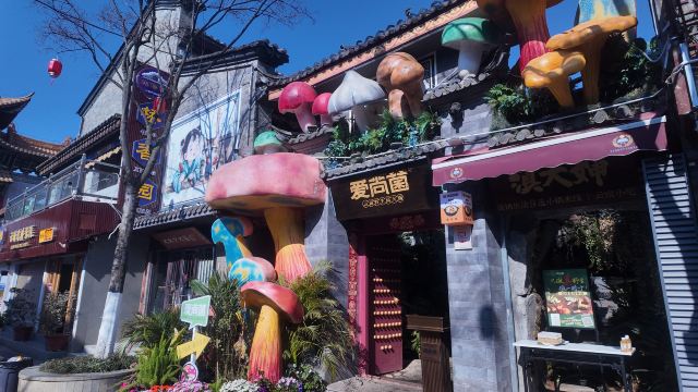 官渡古镇旅行图片 2