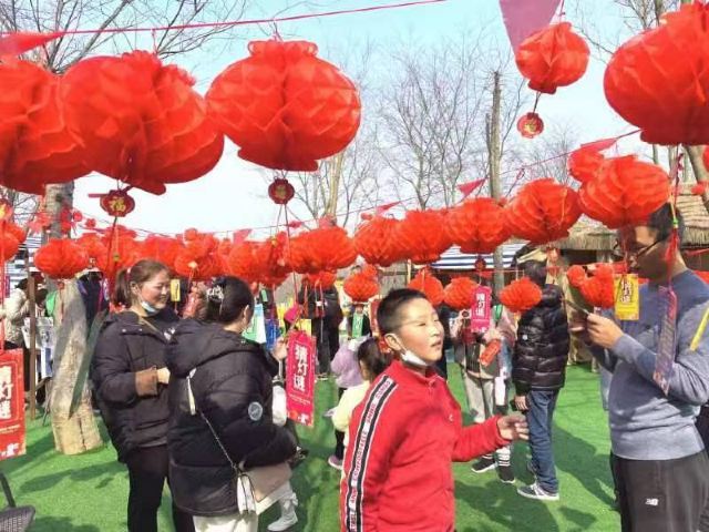南京森林大世界旅行图片 1