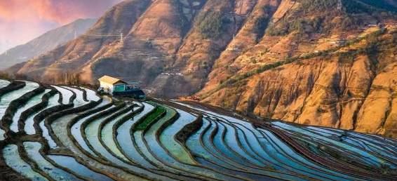 新山梯田旅行图片 2