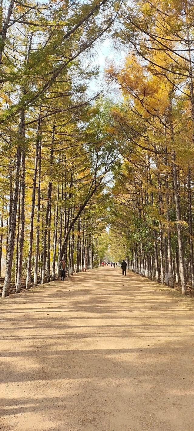 百木园旅行图片 1