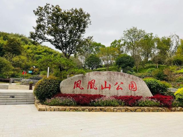 凤凰山公园旅行图片 1