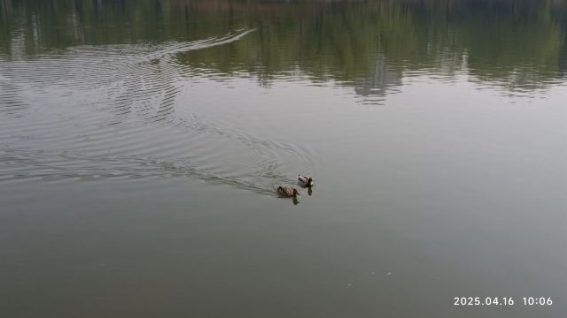 柳荫公园旅行图片 1