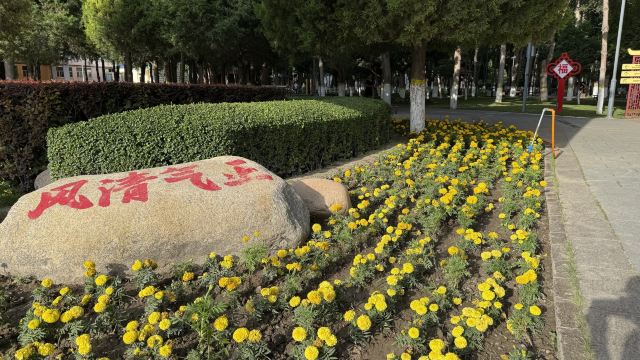 人民公园旅行图片 4