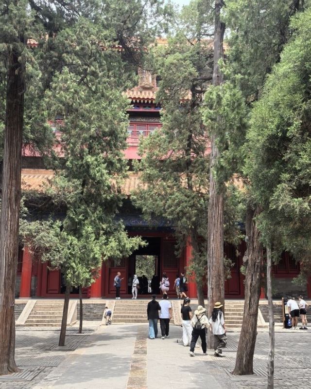 曲阜明故城旅行图片 2