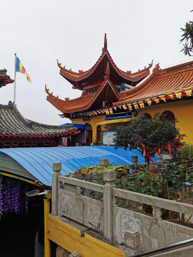 泰山寺旅行图片 15