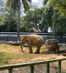 南宁动物园-南宁-YoYo_4G5O2E8Q