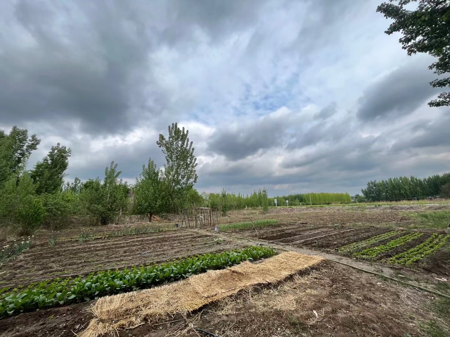 渔乐农庄餐厅图片