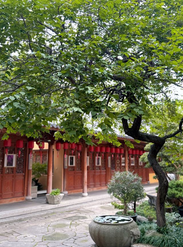 湖州铁佛寺旅行图片 1