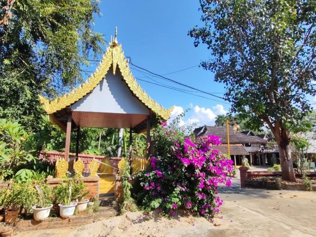 曼远村旅行图片 4