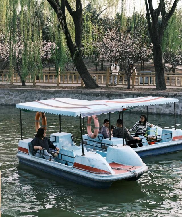 兴隆公园旅行图片 6