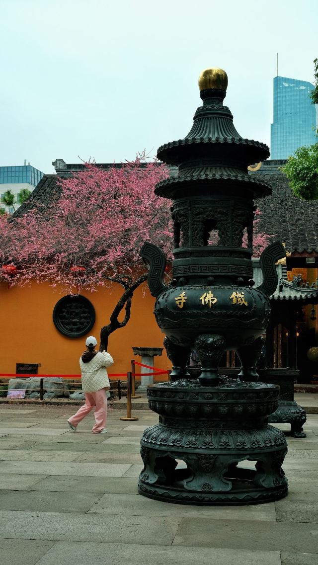 湖州铁佛寺旅行图片 8