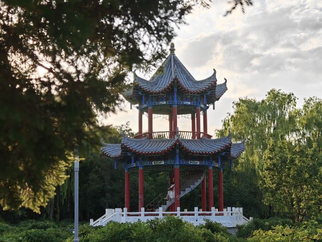 凉州植物园旅行图片 1
