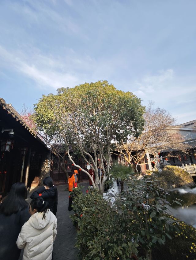 溱潼古镇旅游区旅行图片 3
