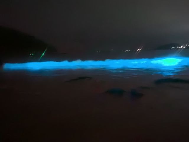 龙王头海滩旅行图片 3