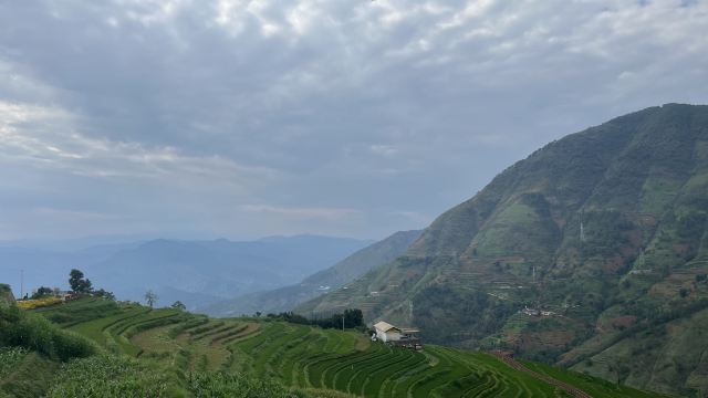 新山梯田旅行图片 5