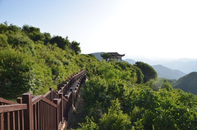 玫瑰谷旅行图片 2
