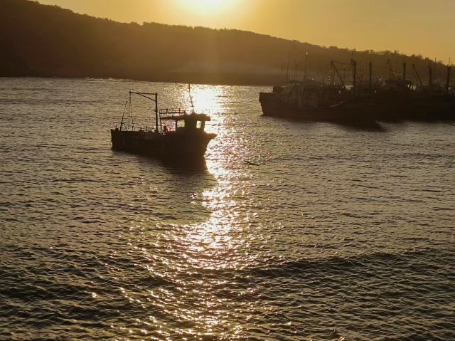 龙王头海滩旅行图片 1