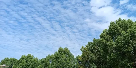 桐城市西郊公園