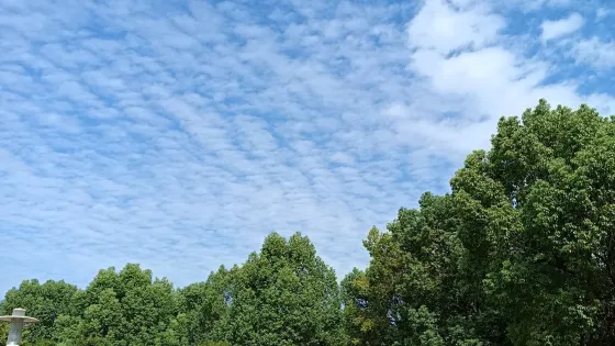 桐城市西郊公園