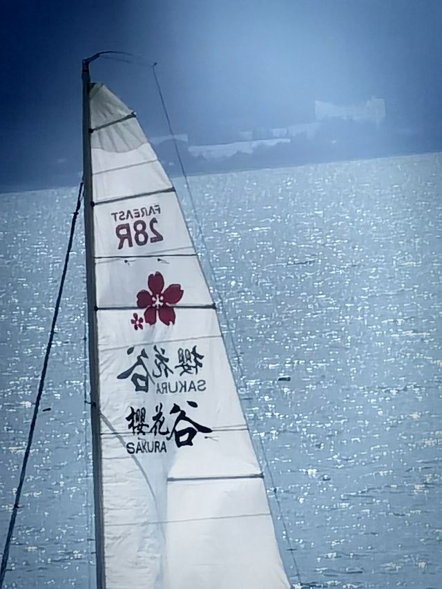 抚仙湖国际度假小镇湖畔森林公园旅行图片 3