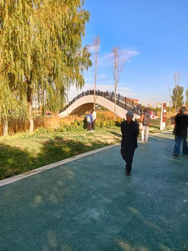 苹果公园旅行图片 2