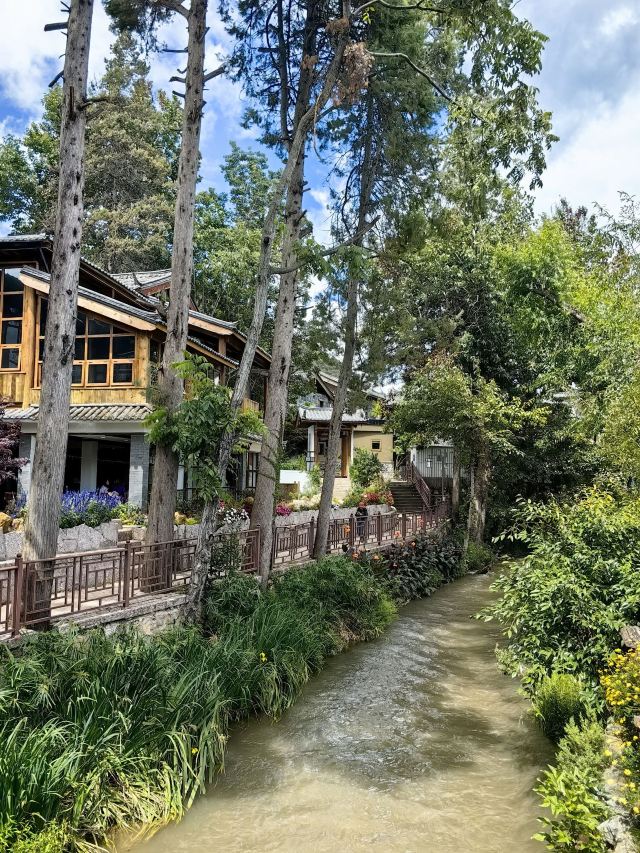 束河古镇旅行图片 1