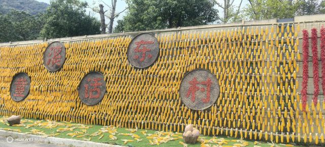 溪东童话村旅行图片 2