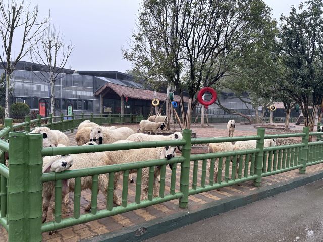 湖南常德野生动物世界旅行图片 2