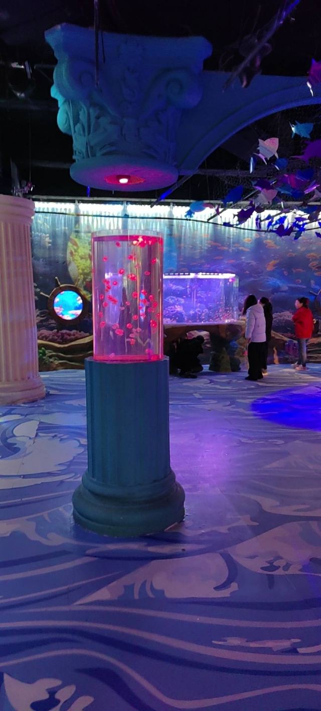秦皇岛新澳海底世界旅行图片 1