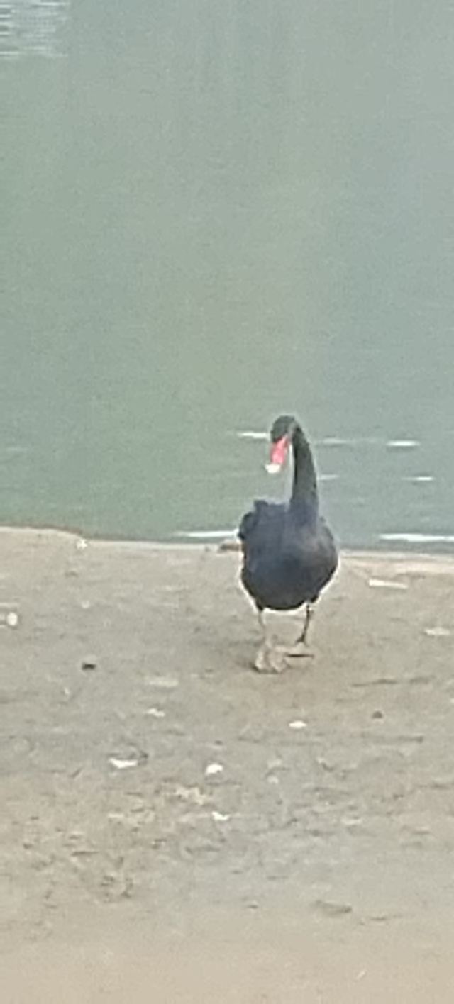 茅山森林世界旅行图片 3