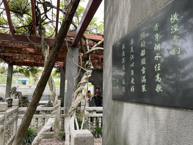 古藤园旅行图片 3