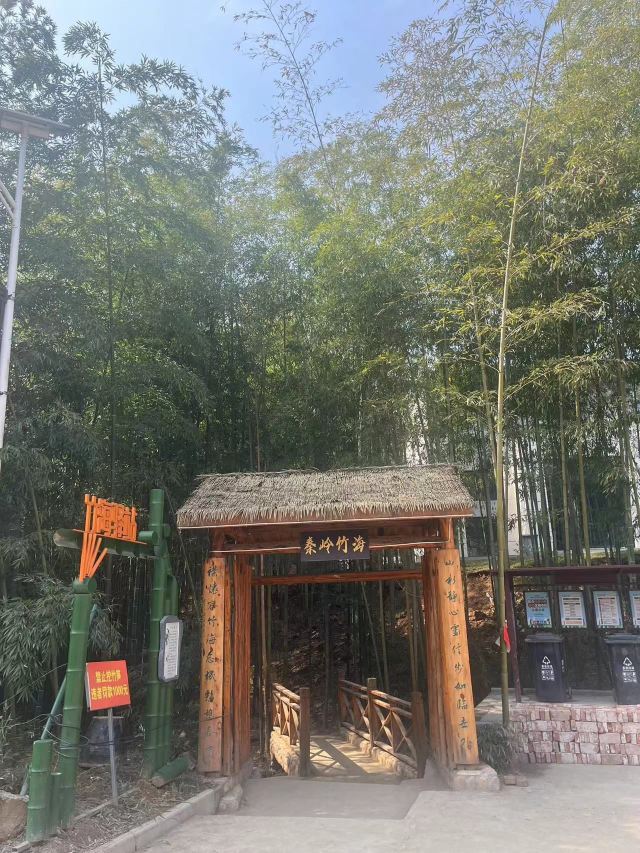 中国·秦岭·竹海旅行图片 6