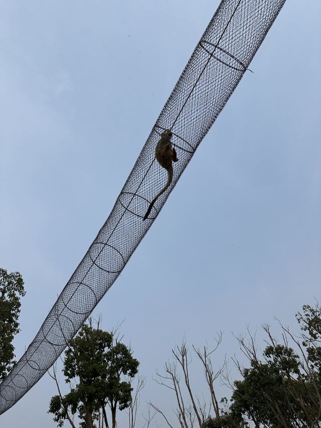 森灵欢乐世界旅行图片 2