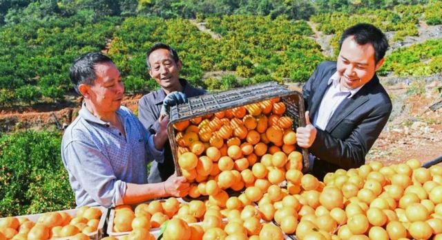 宜都市清江湾旅游度假区旅行图片 1