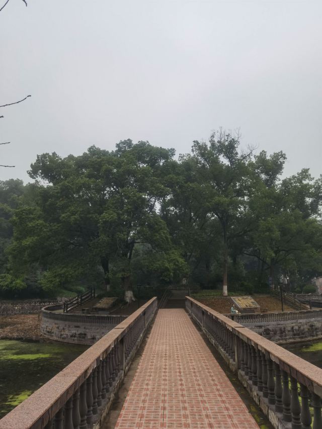 重庆朝天门广场旅行图片 6