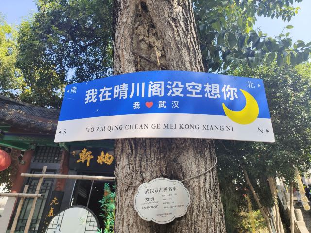 晴川阁旅行图片 5