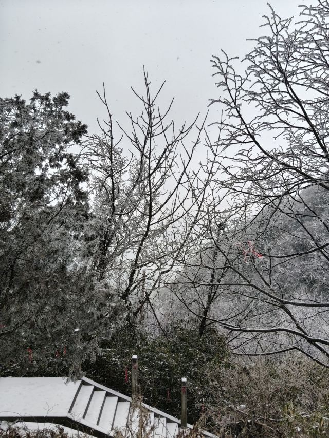 天台国家森林公园天台山索道旅行图片 5