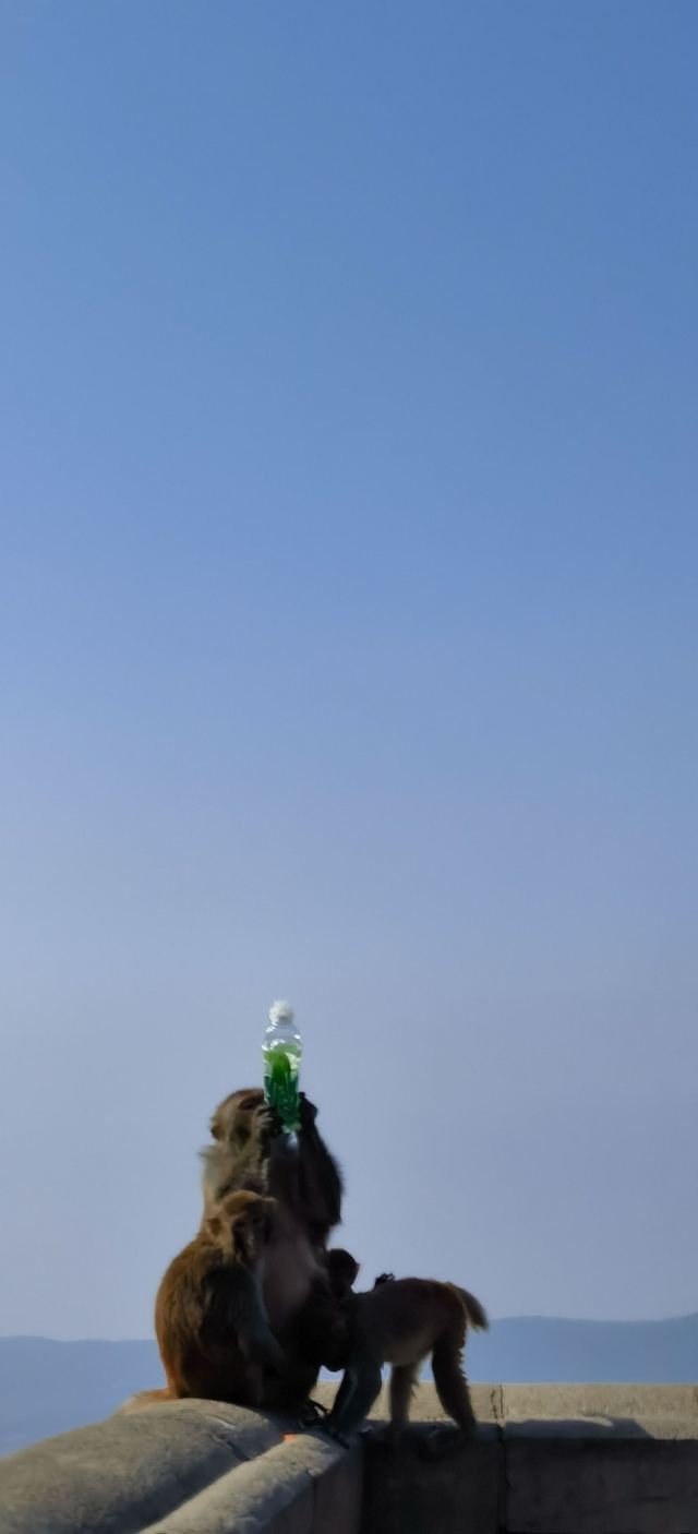 花果山风景区旅行图片 2