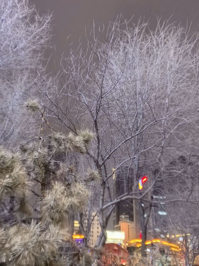 大西边门公园旅行图片 1