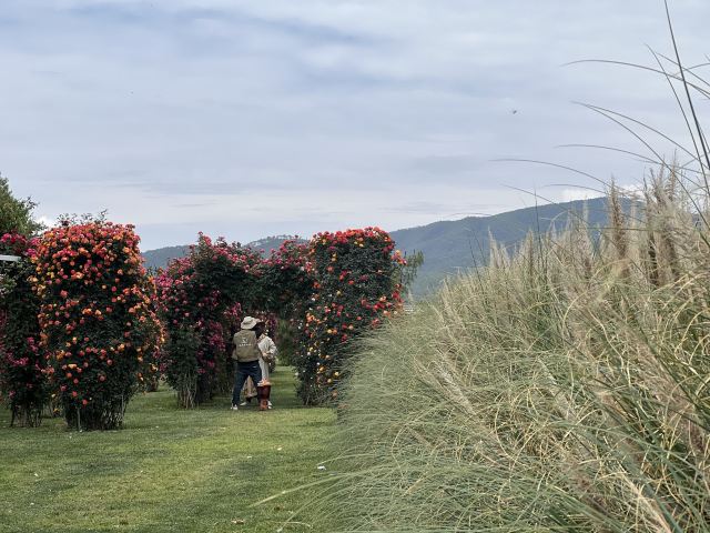 候鸟湾湿地旅行图片 1