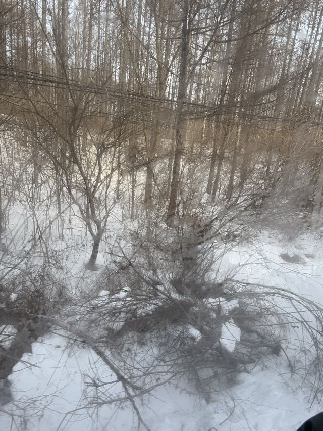 亚布力森林小火车(俄罗斯风情园)旅行图片 1