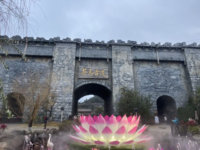 茶马古城旅游小镇旅行图片 3