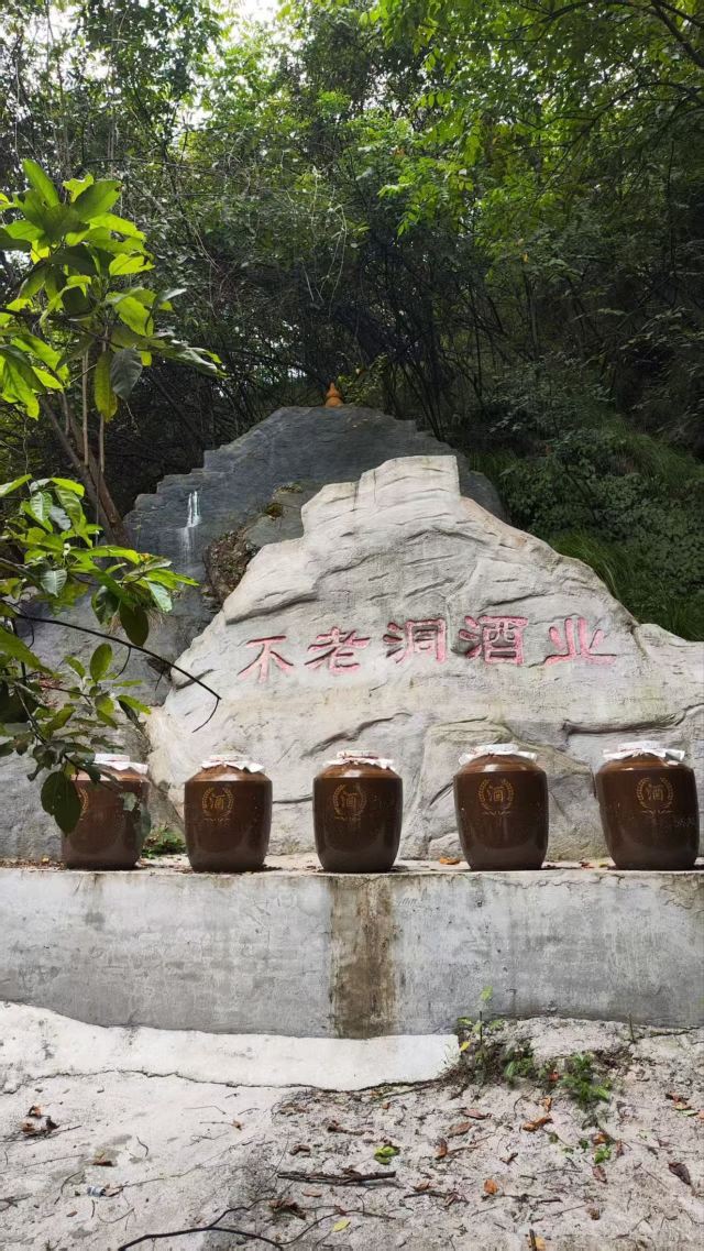龙门河国家森林公园神龙洞景区旅行图片 4