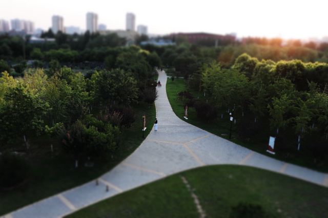 西局玉璞园旅行图片 1