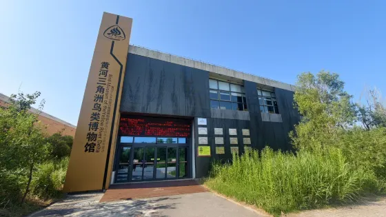 黃河三角洲鳥類博物館