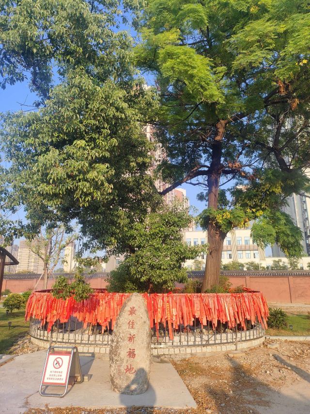 艾溪湖森林湿地公园旅行图片 2